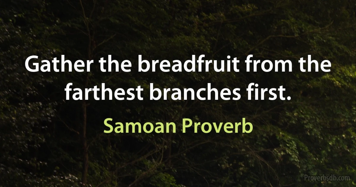 Gather the breadfruit from the farthest branches first. (Samoan Proverb)