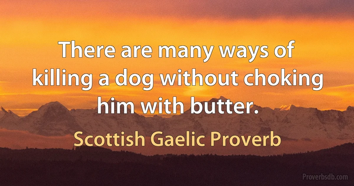 There are many ways of killing a dog without choking him with butter. (Scottish Gaelic Proverb)