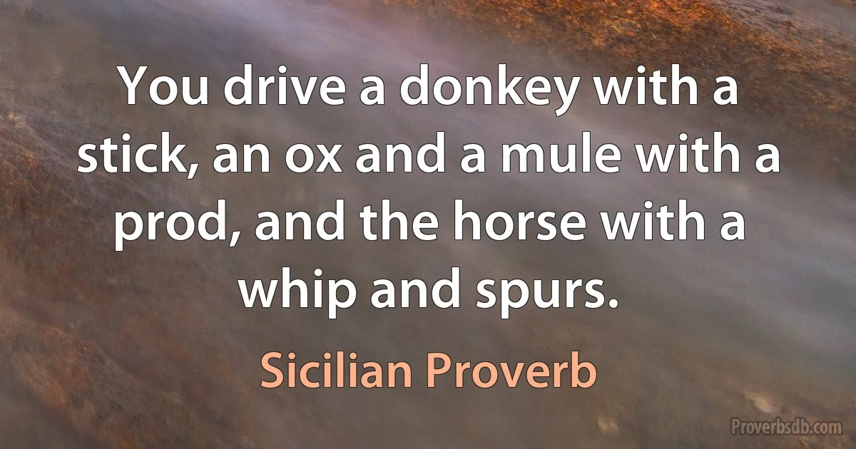 You drive a donkey with a stick, an ox and a mule with a prod, and the horse with a whip and spurs. (Sicilian Proverb)