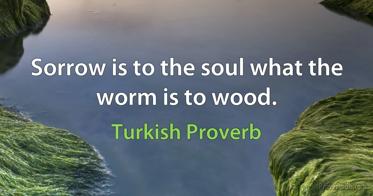 Sorrow is to the soul what the worm is to wood. (Turkish Proverb)