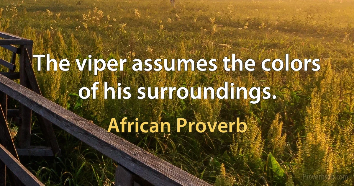 The viper assumes the colors of his surroundings. (African Proverb)