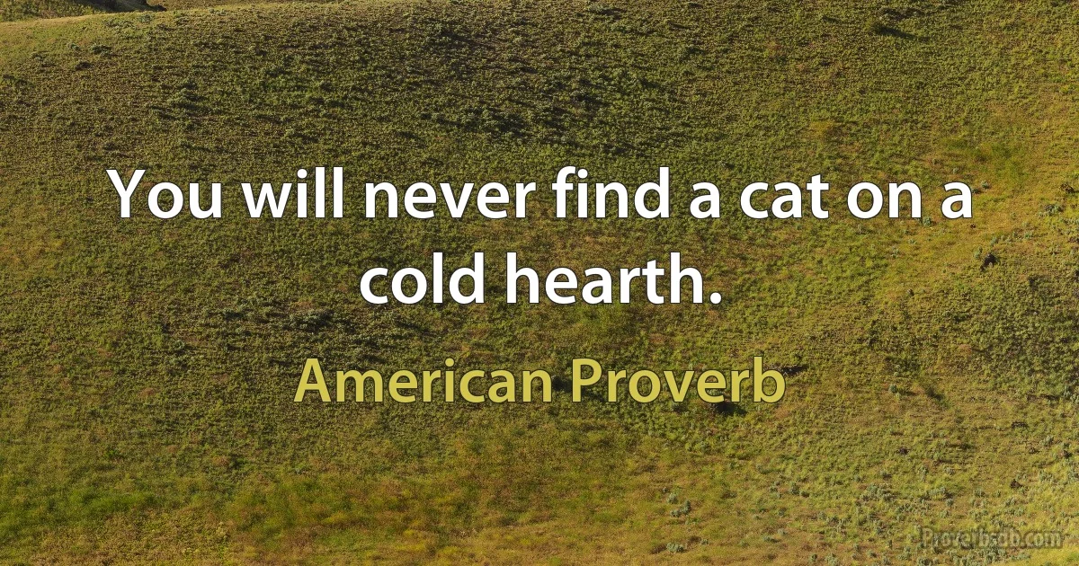 You will never find a cat on a cold hearth. (American Proverb)