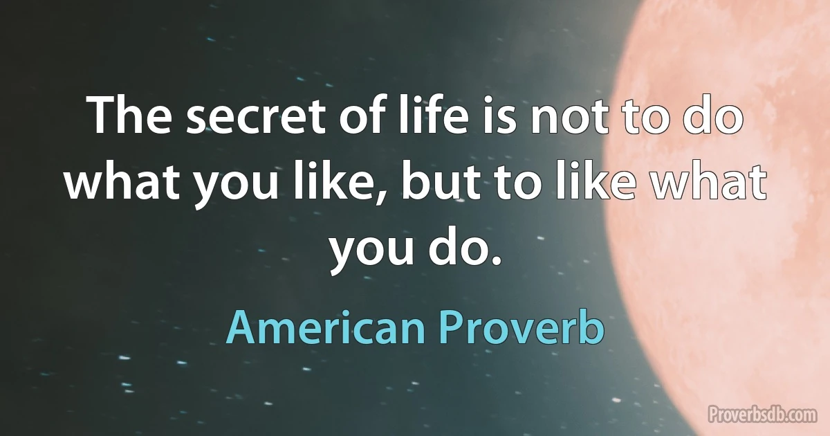 The secret of life is not to do what you like, but to like what you do. (American Proverb)