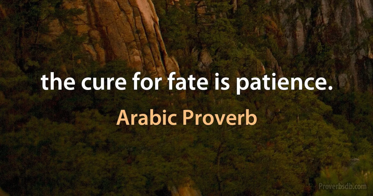 the cure for fate is patience. (Arabic Proverb)