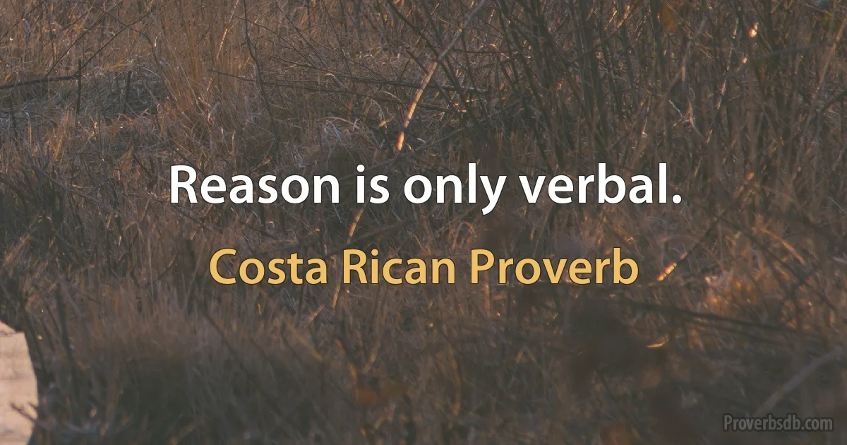 Reason is only verbal. (Costa Rican Proverb)