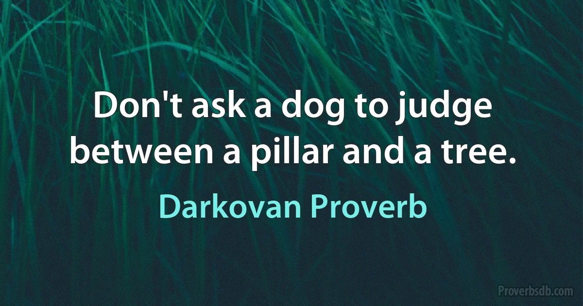 Don't ask a dog to judge between a pillar and a tree. (Darkovan Proverb)