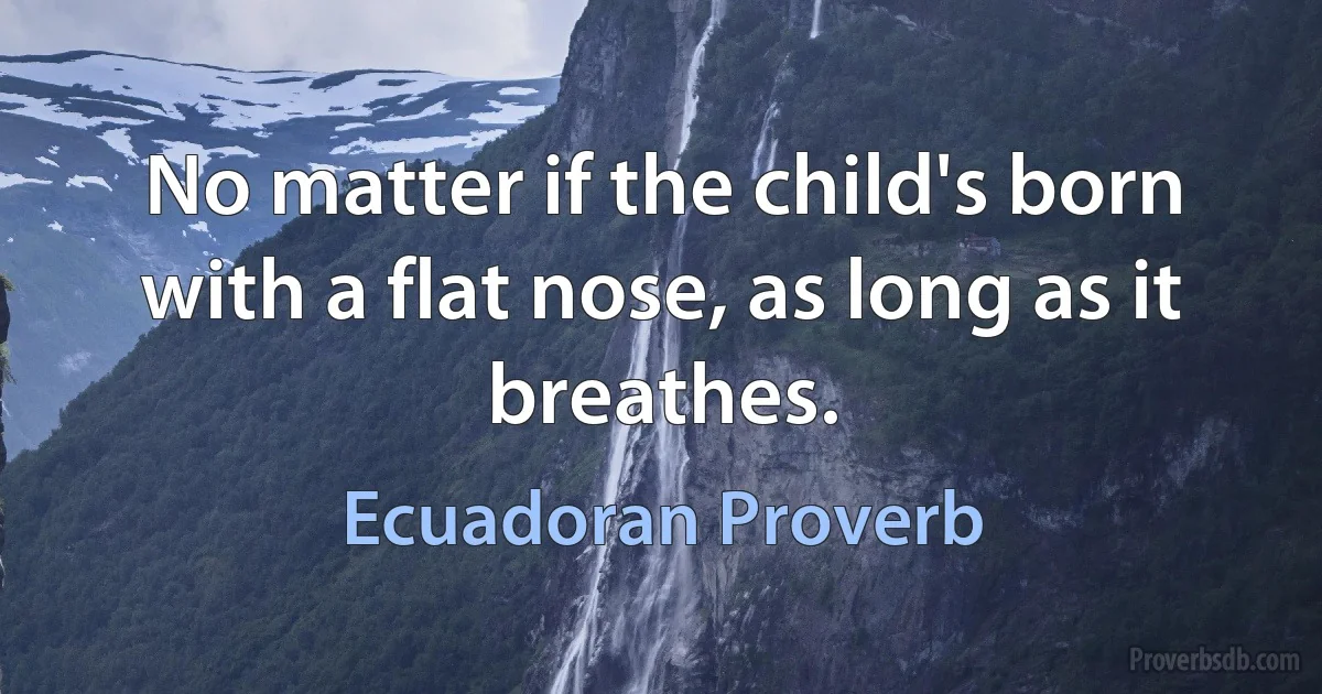 No matter if the child's born with a flat nose, as long as it breathes. (Ecuadoran Proverb)