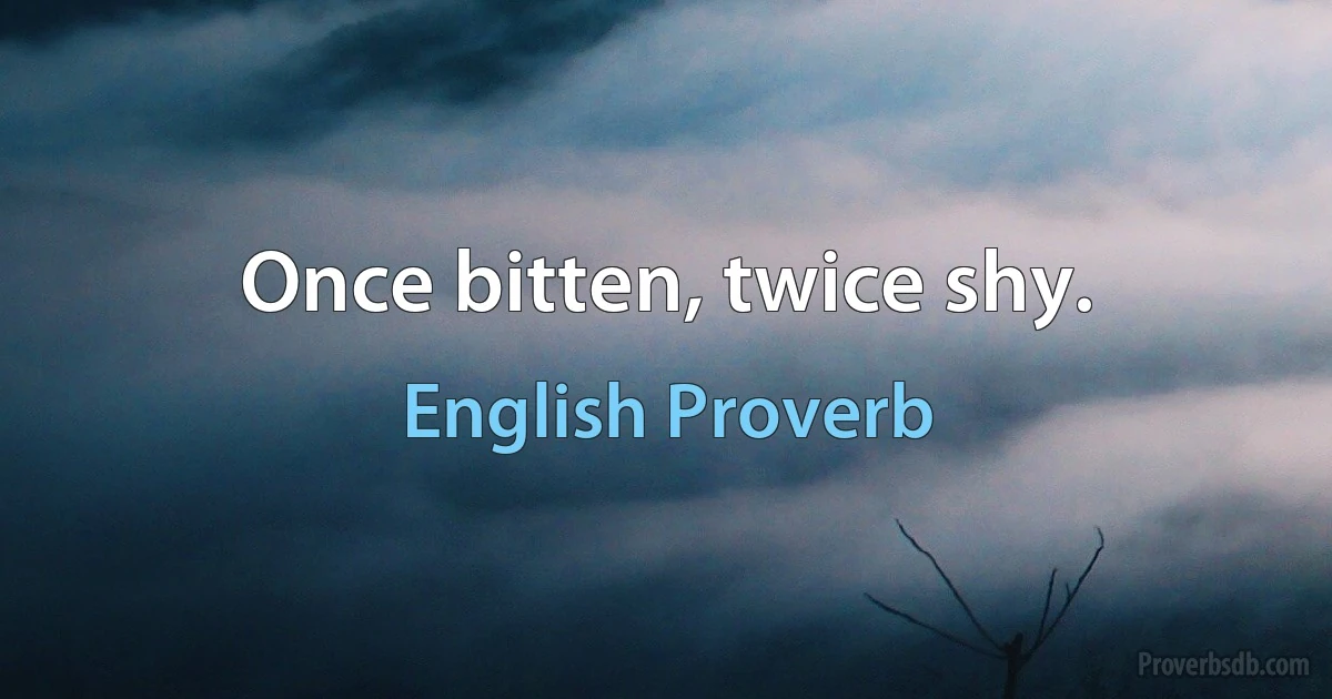 Once bitten, twice shy. (English Proverb)