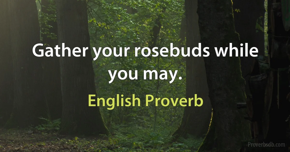 Gather your rosebuds while you may. (English Proverb)