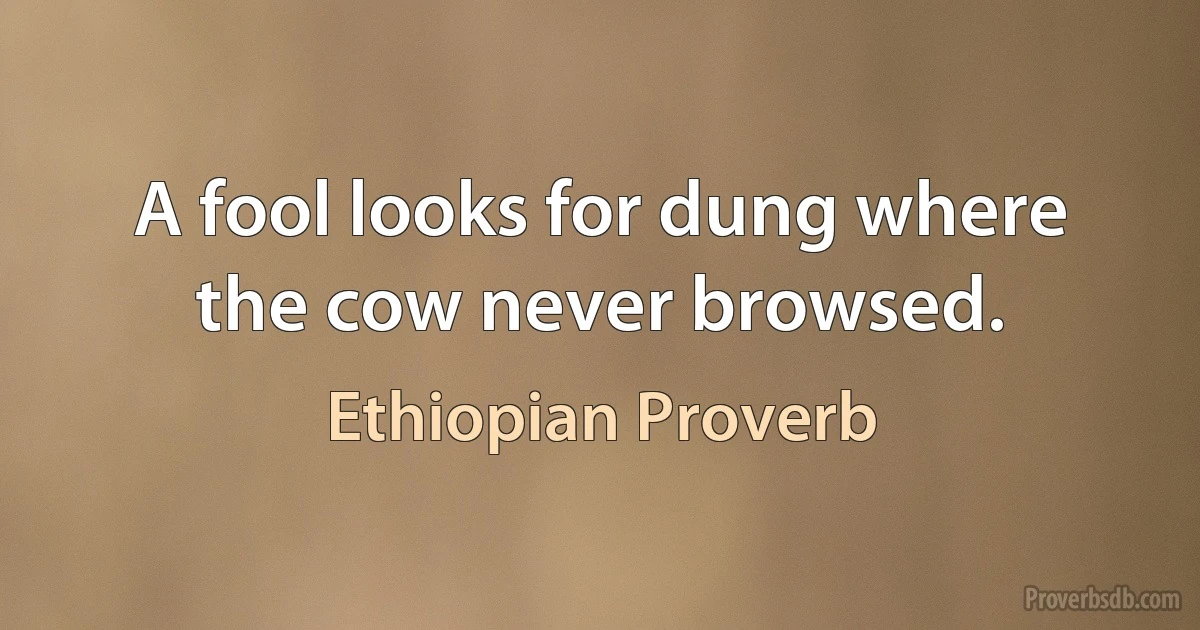 A fool looks for dung where the cow never browsed. (Ethiopian Proverb)