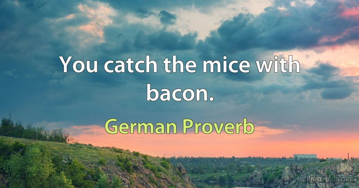 You catch the mice with bacon. (German Proverb)