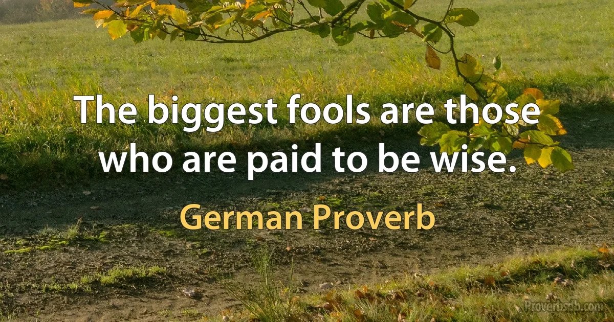 The biggest fools are those who are paid to be wise. (German Proverb)