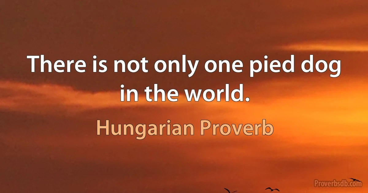 There is not only one pied dog in the world. (Hungarian Proverb)