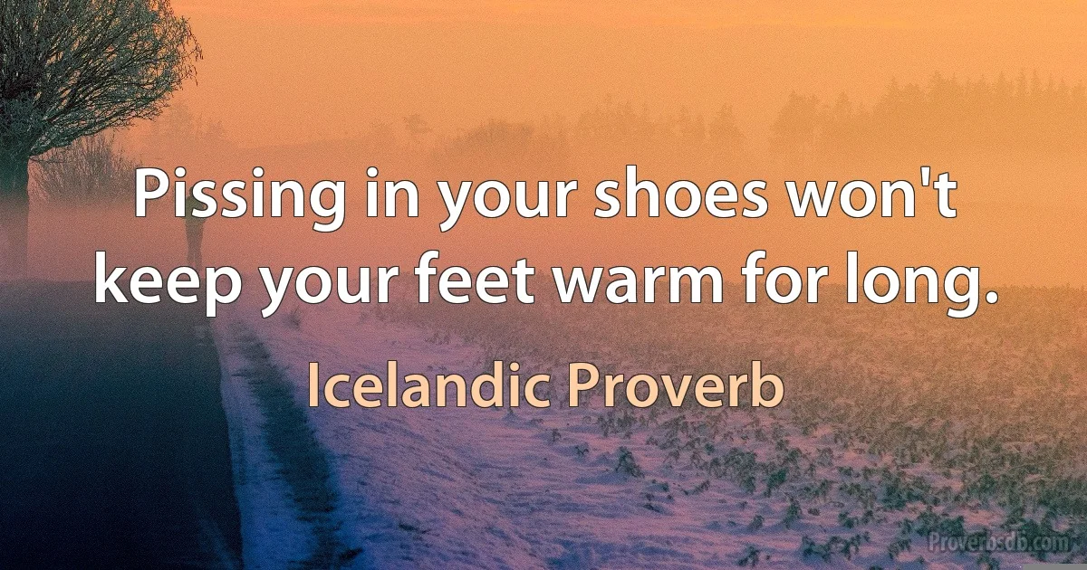 Pissing in your shoes won't keep your feet warm for long. (Icelandic Proverb)