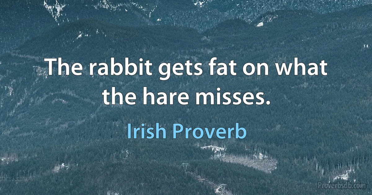 The rabbit gets fat on what the hare misses. (Irish Proverb)