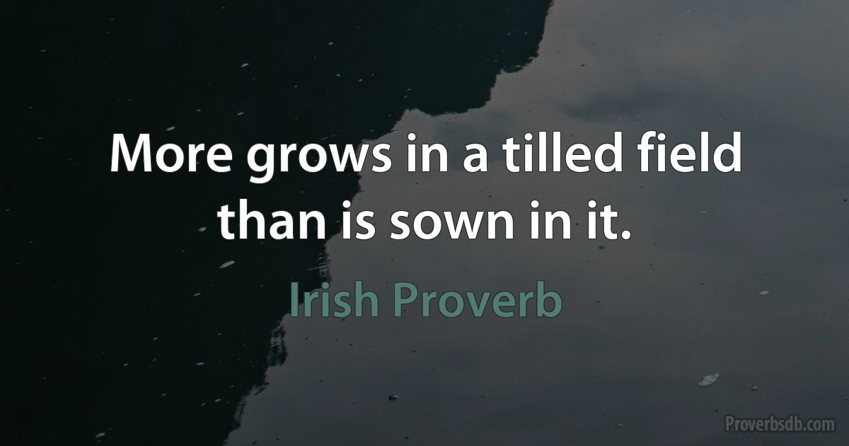 More grows in a tilled field than is sown in it. (Irish Proverb)