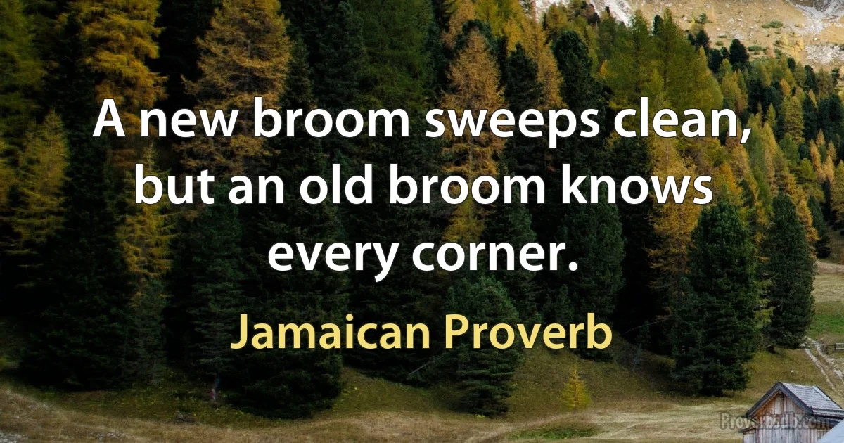 A new broom sweeps clean, but an old broom knows every corner. (Jamaican Proverb)