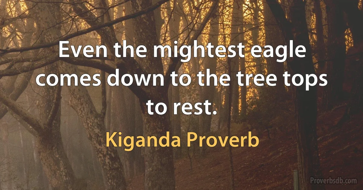 Even the mightest eagle comes down to the tree tops to rest. (Kiganda Proverb)