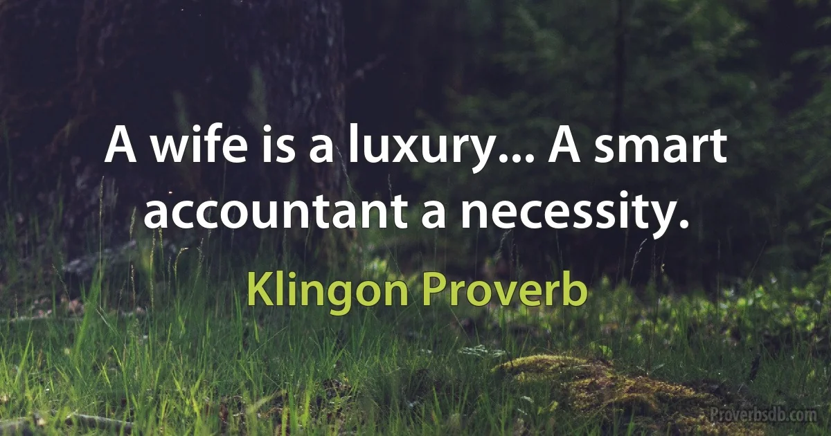 A wife is a luxury... A smart accountant a necessity. (Klingon Proverb)