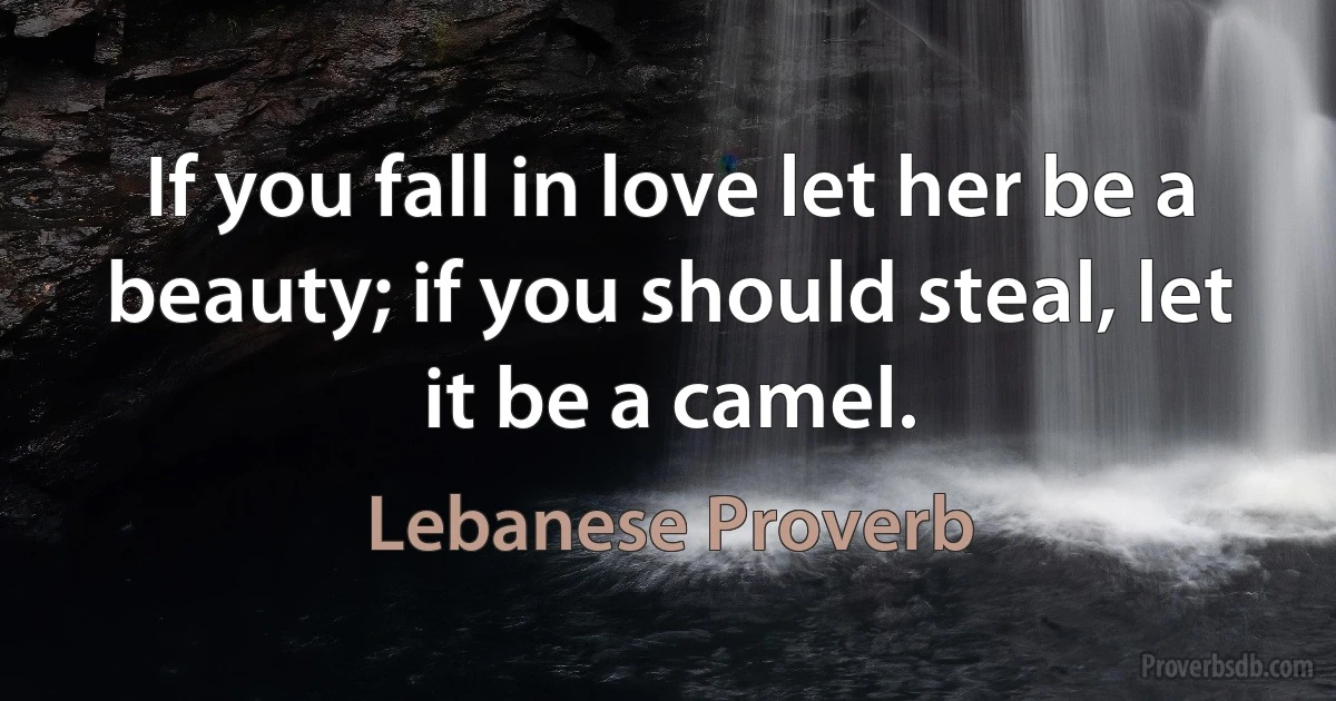 If you fall in love let her be a beauty; if you should steal, let it be a camel. (Lebanese Proverb)