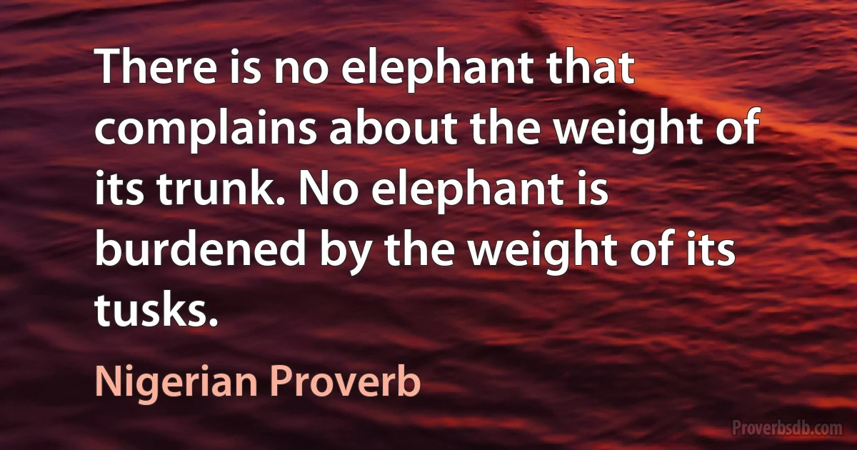 There is no elephant that complains about the weight of its trunk. No elephant is burdened by the weight of its tusks. (Nigerian Proverb)