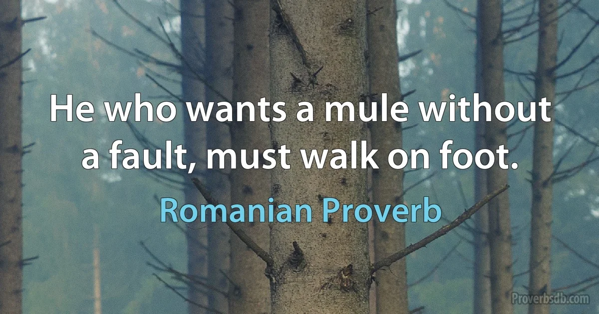 He who wants a mule without a fault, must walk on foot. (Romanian Proverb)