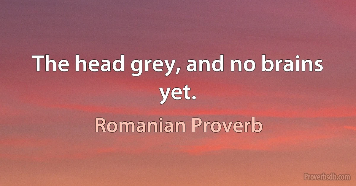 The head grey, and no brains yet. (Romanian Proverb)