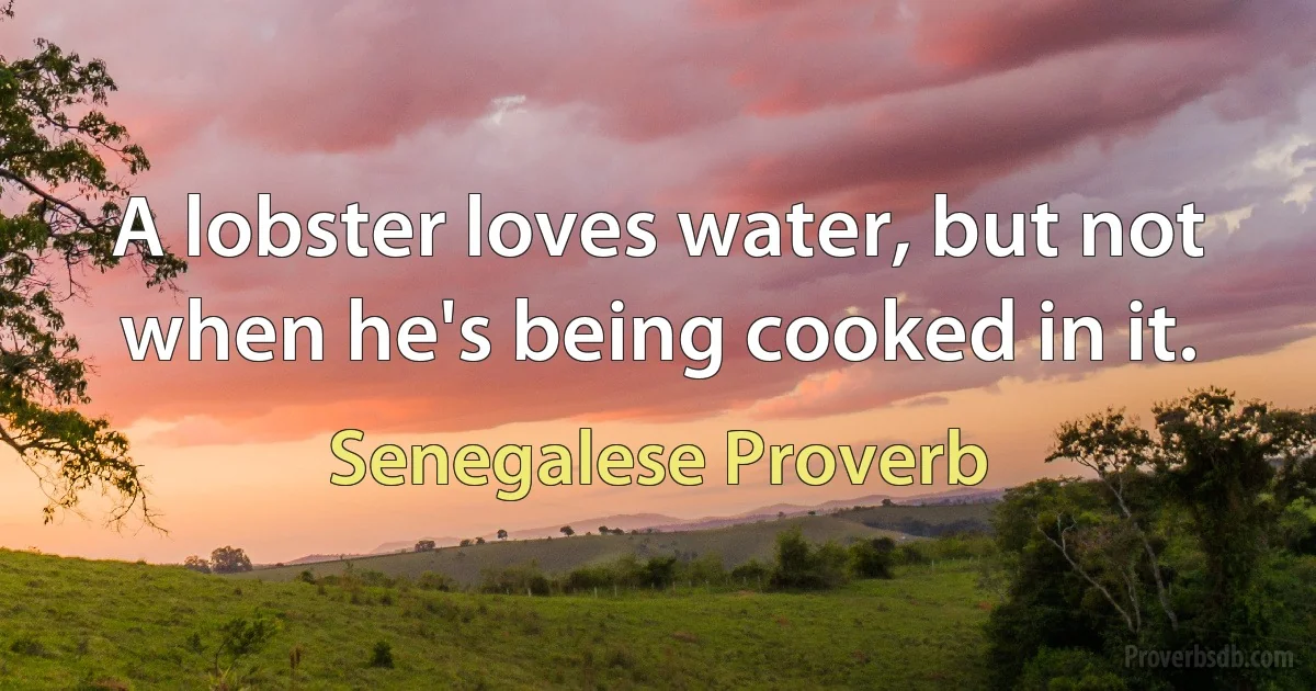 A lobster loves water, but not when he's being cooked in it. (Senegalese Proverb)