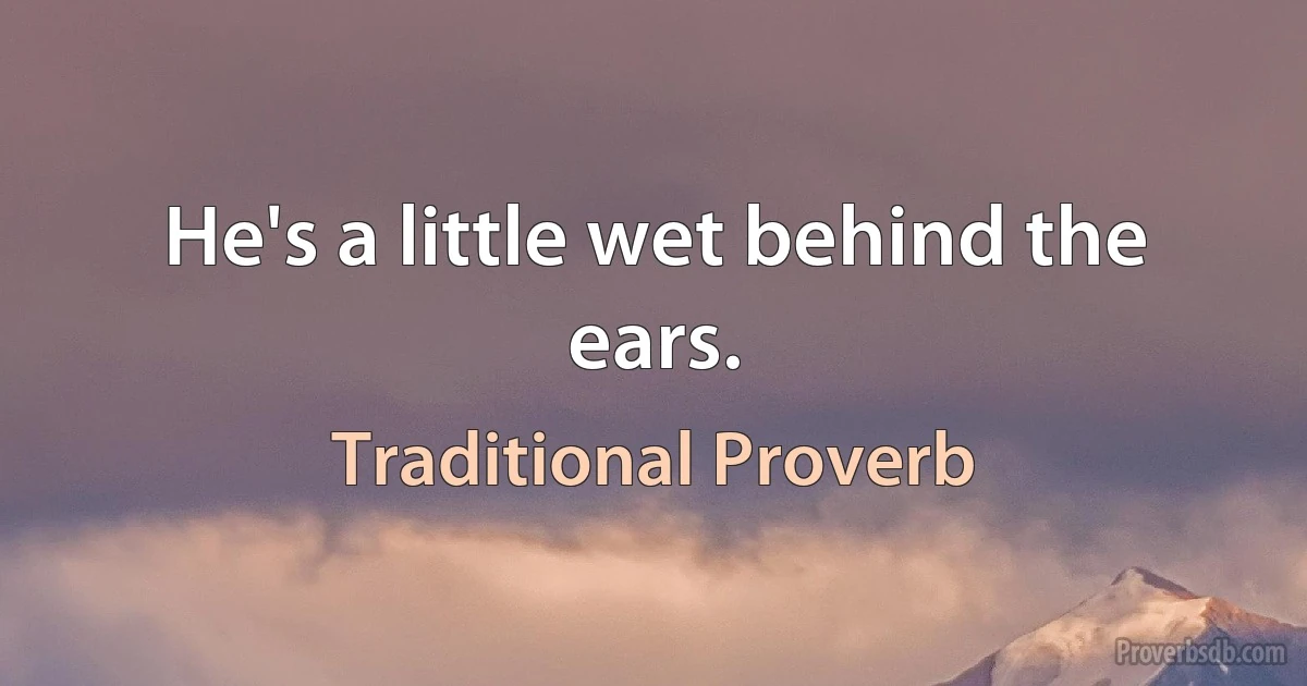 He's a little wet behind the ears. (Traditional Proverb)