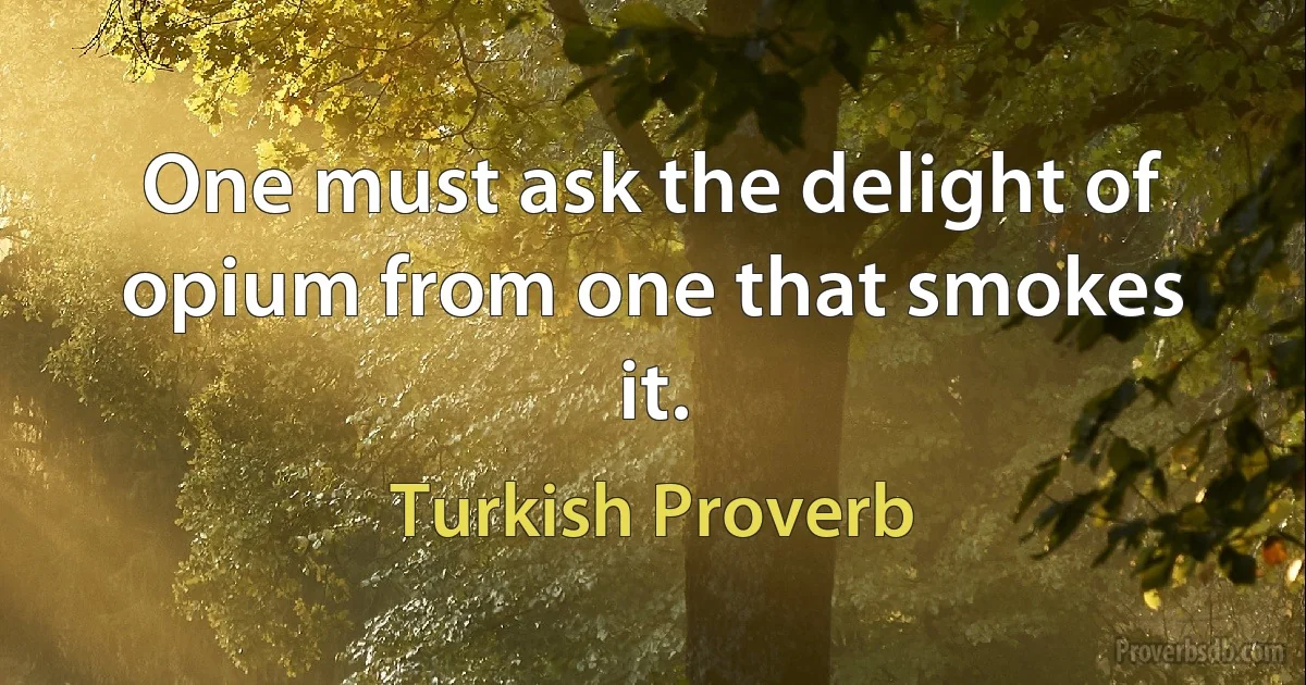 One must ask the delight of opium from one that smokes it. (Turkish Proverb)