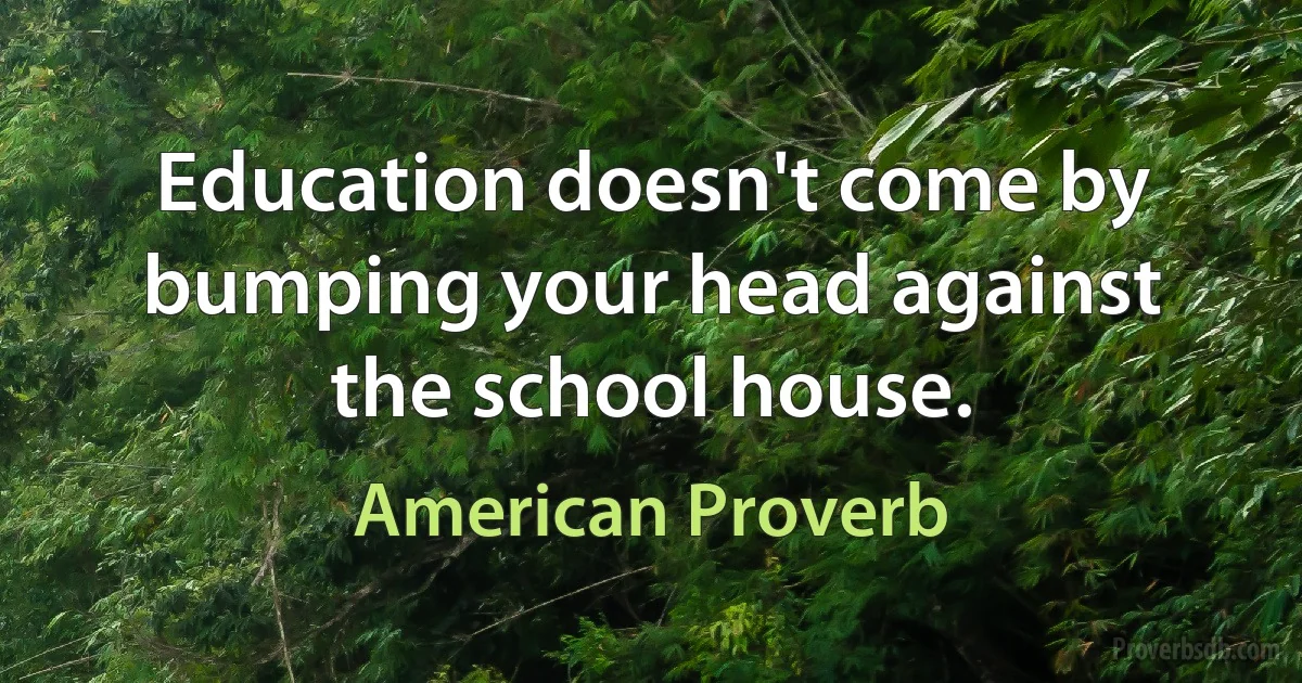 Education doesn't come by bumping your head against the school house. (American Proverb)