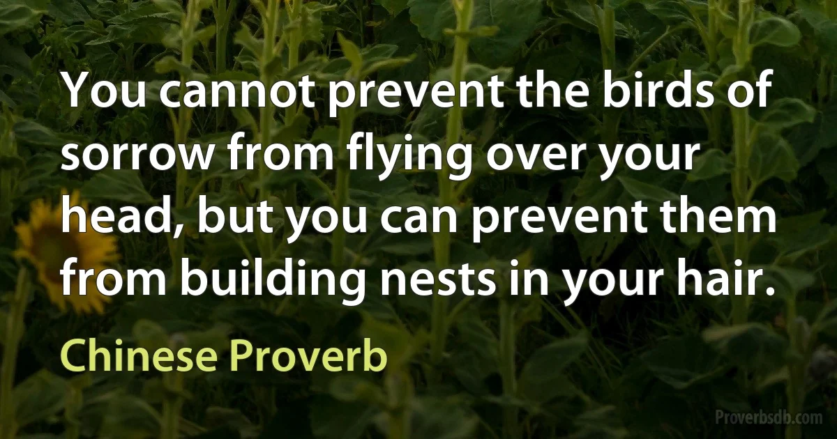 You cannot prevent the birds of sorrow from flying over your head, but you can prevent them from building nests in your hair. (Chinese Proverb)