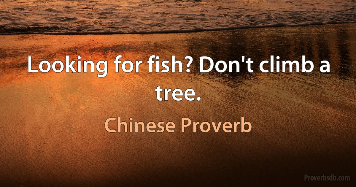 Looking for fish? Don't climb a tree. (Chinese Proverb)