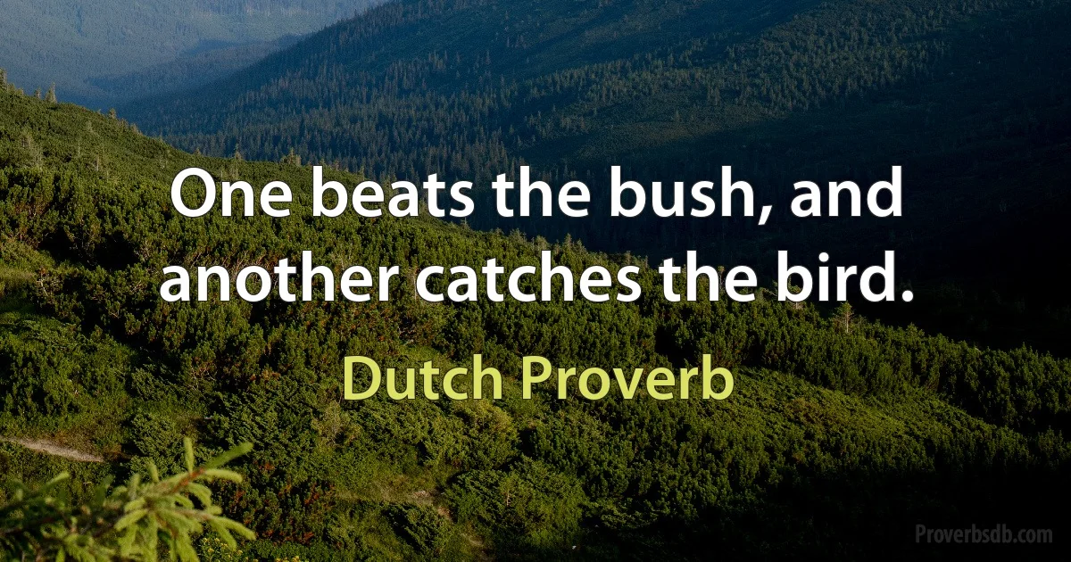 One beats the bush, and another catches the bird. (Dutch Proverb)