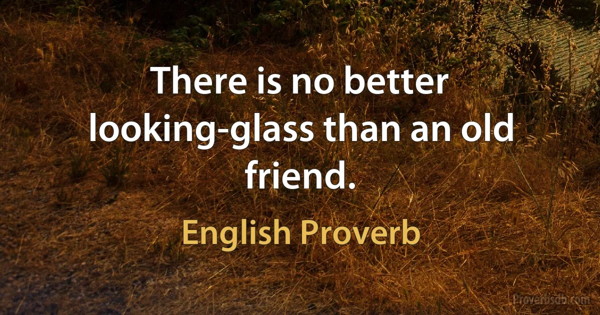 There is no better looking-glass than an old friend. (English Proverb)