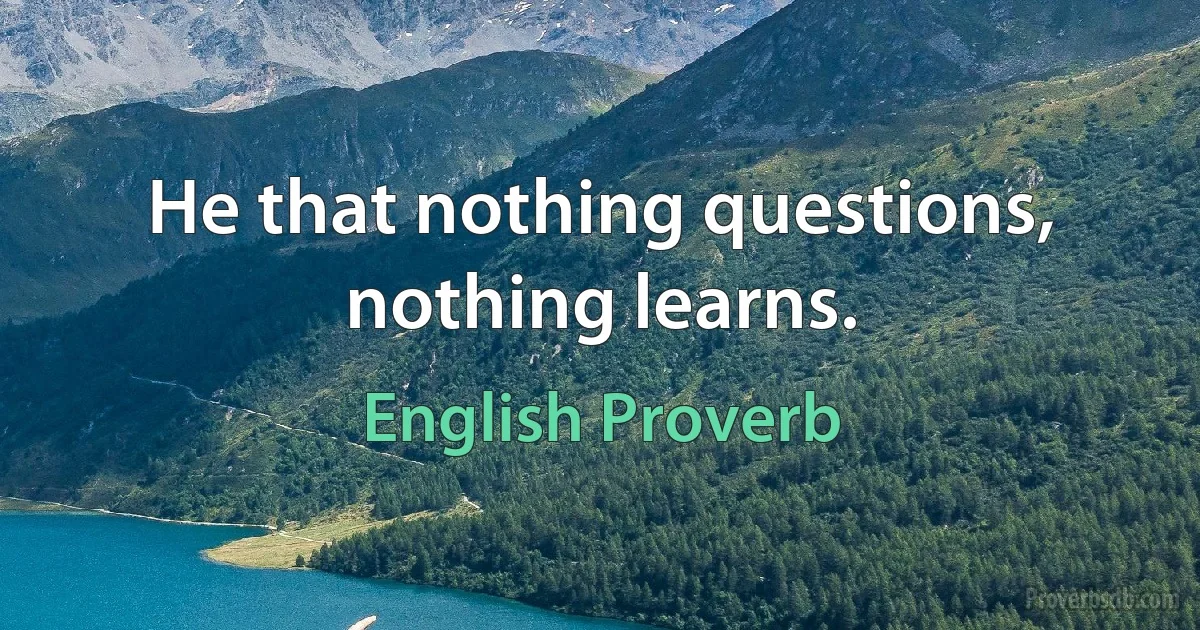 He that nothing questions, nothing learns. (English Proverb)