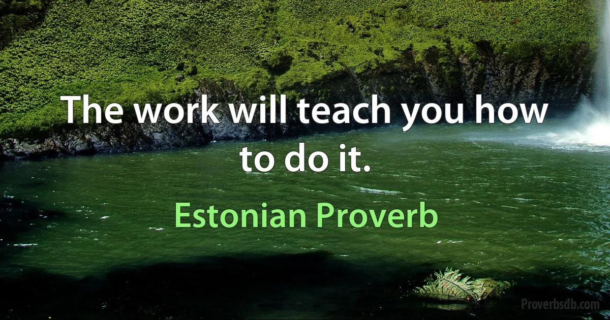 The work will teach you how to do it. (Estonian Proverb)