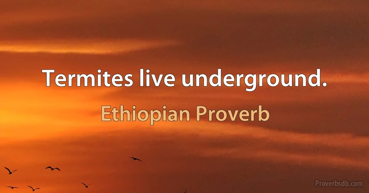 Termites live underground. (Ethiopian Proverb)