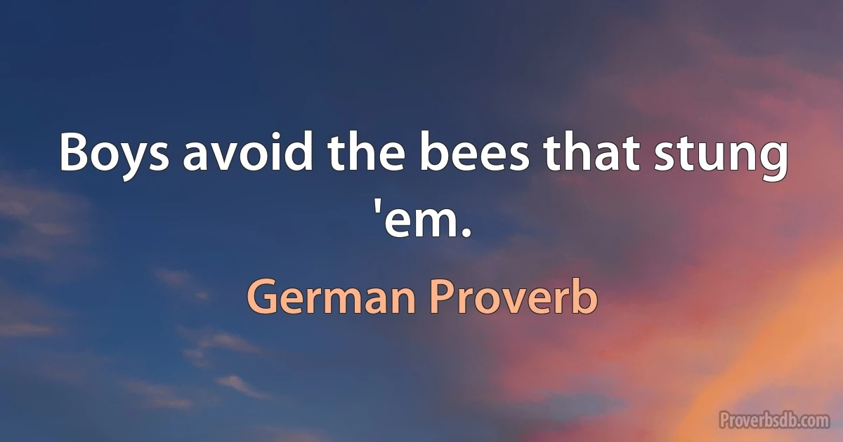 Boys avoid the bees that stung 'em. (German Proverb)