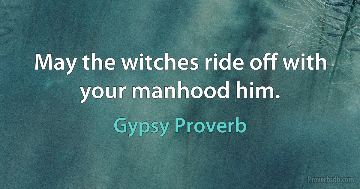 May the witches ride off with your manhood him. (Gypsy Proverb)