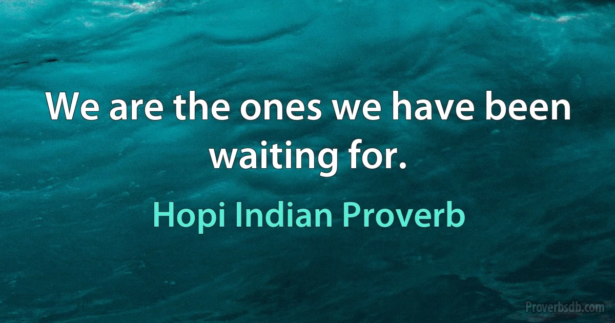 We are the ones we have been waiting for. (Hopi Indian Proverb)