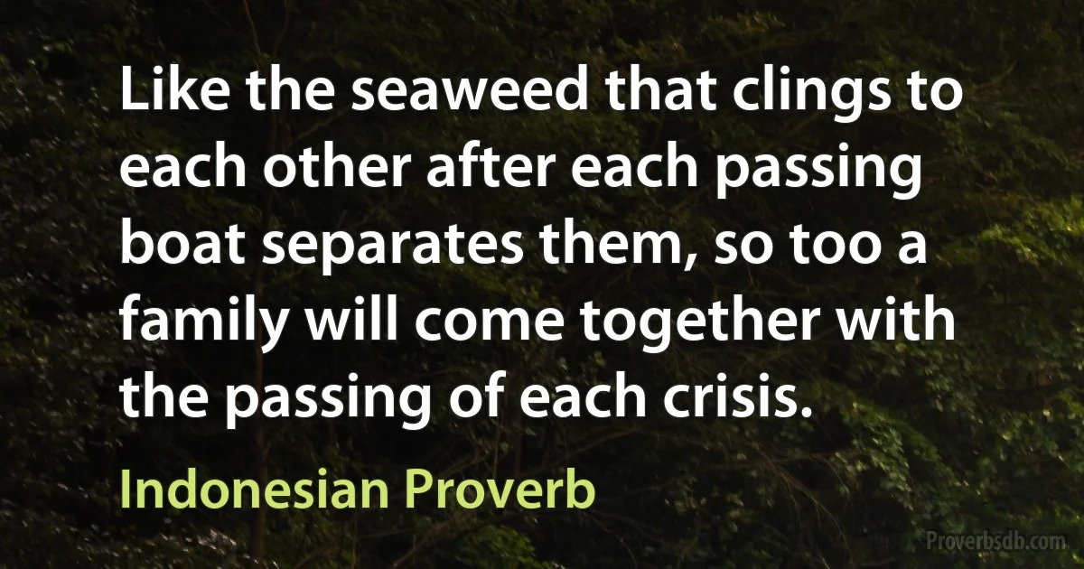 Like the seaweed that clings to each other after each passing boat separates them, so too a family will come together with the passing of each crisis. (Indonesian Proverb)