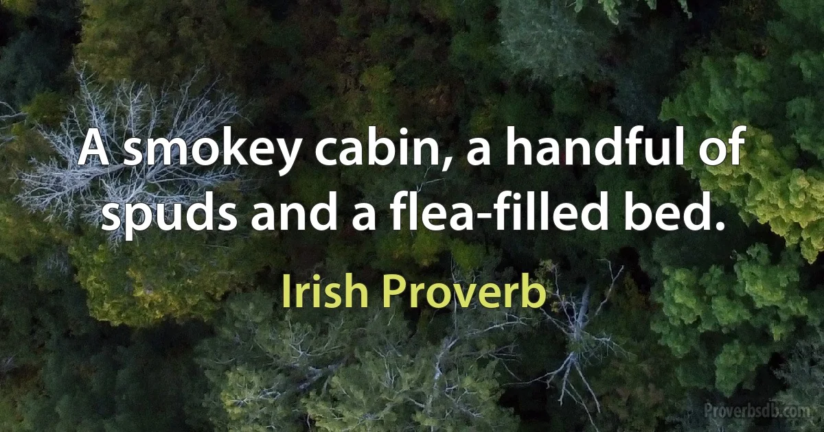 A smokey cabin, a handful of spuds and a flea-filled bed. (Irish Proverb)