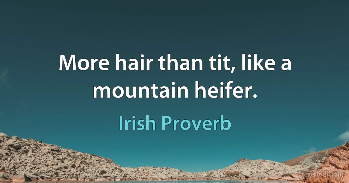 More hair than tit, like a mountain heifer. (Irish Proverb)