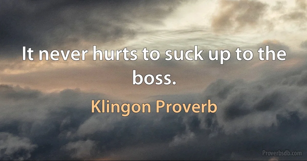 It never hurts to suck up to the boss. (Klingon Proverb)