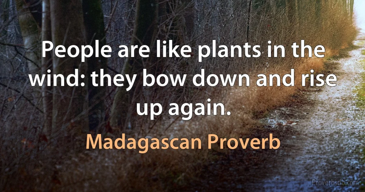 People are like plants in the wind: they bow down and rise up again. (Madagascan Proverb)