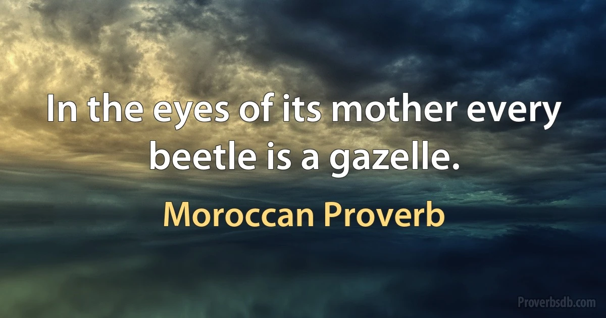 In the eyes of its mother every beetle is a gazelle. (Moroccan Proverb)