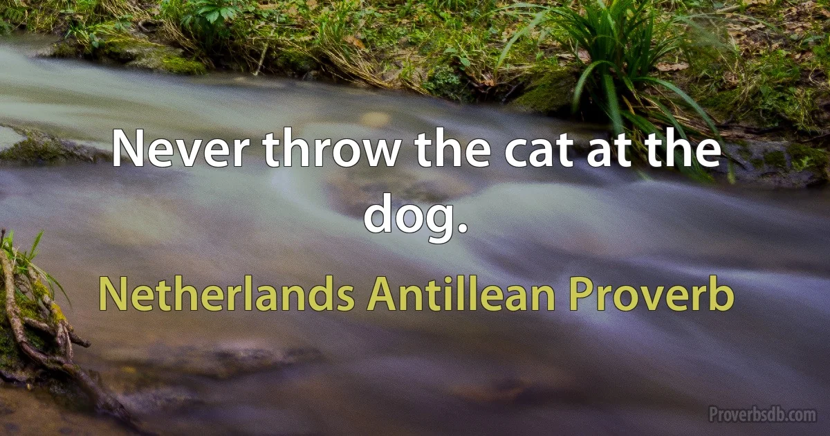 Never throw the cat at the dog. (Netherlands Antillean Proverb)