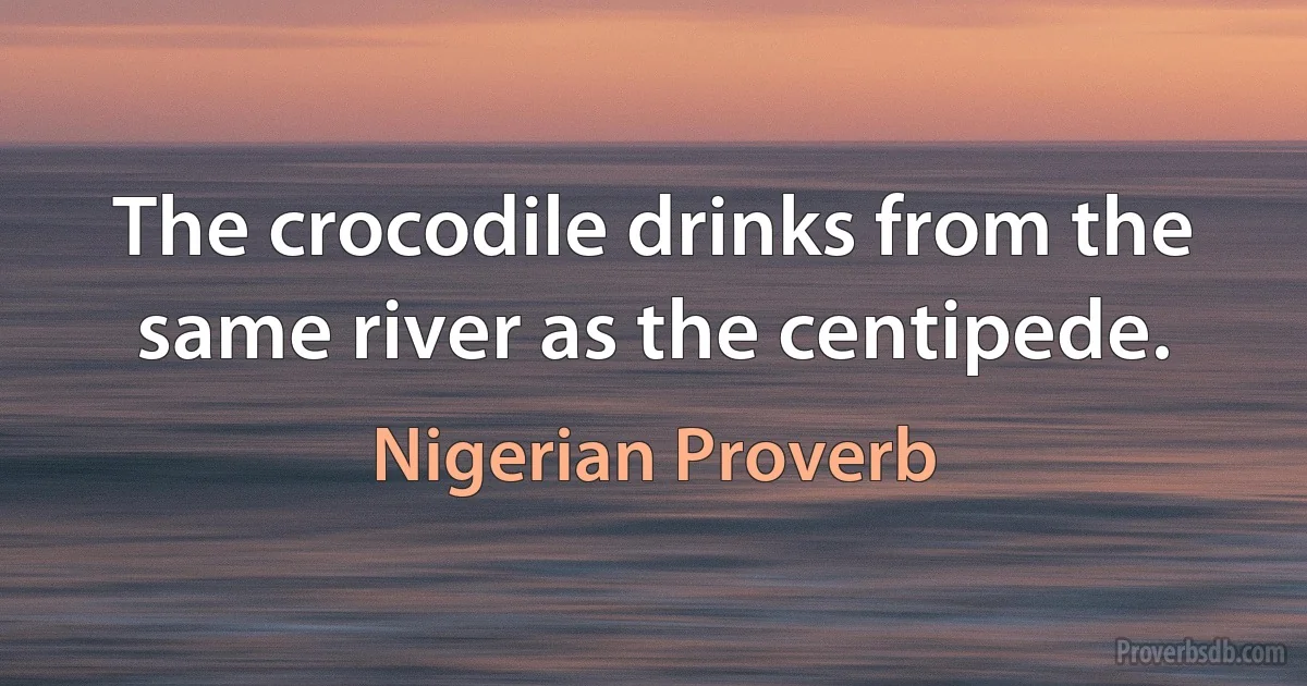 The crocodile drinks from the same river as the centipede. (Nigerian Proverb)