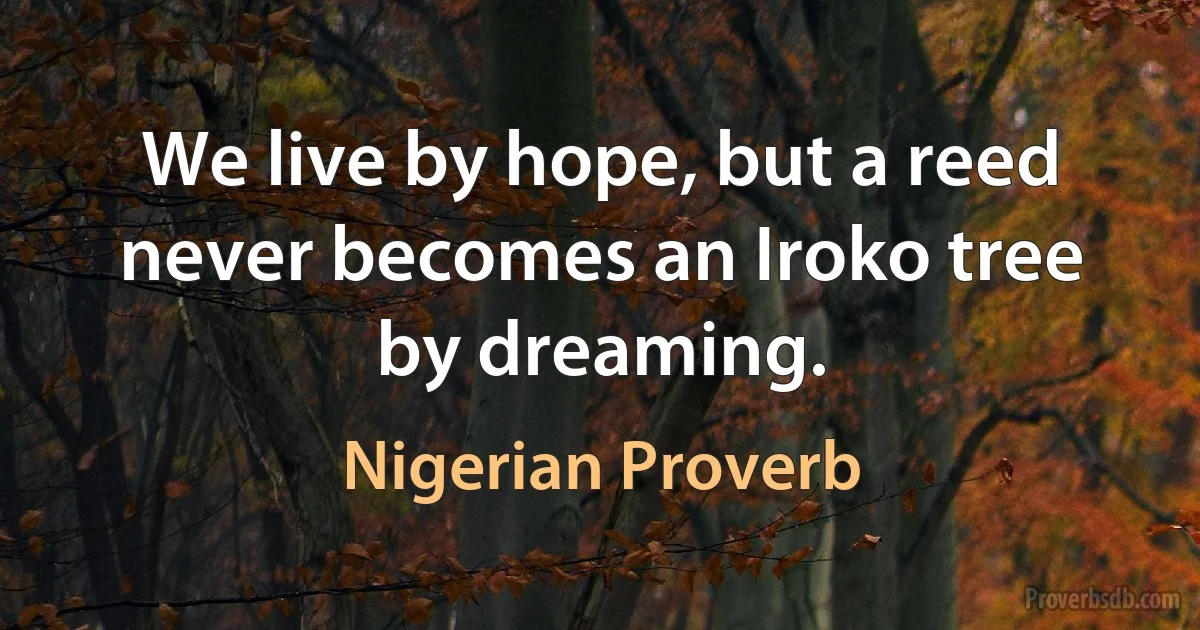 We live by hope, but a reed never becomes an Iroko tree by dreaming. (Nigerian Proverb)